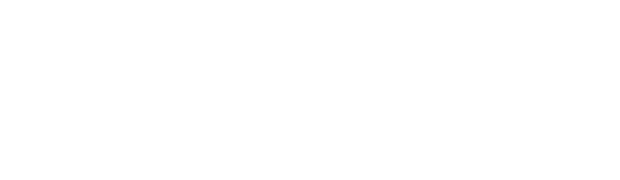 FIRST MINERALS MINING LTD.
