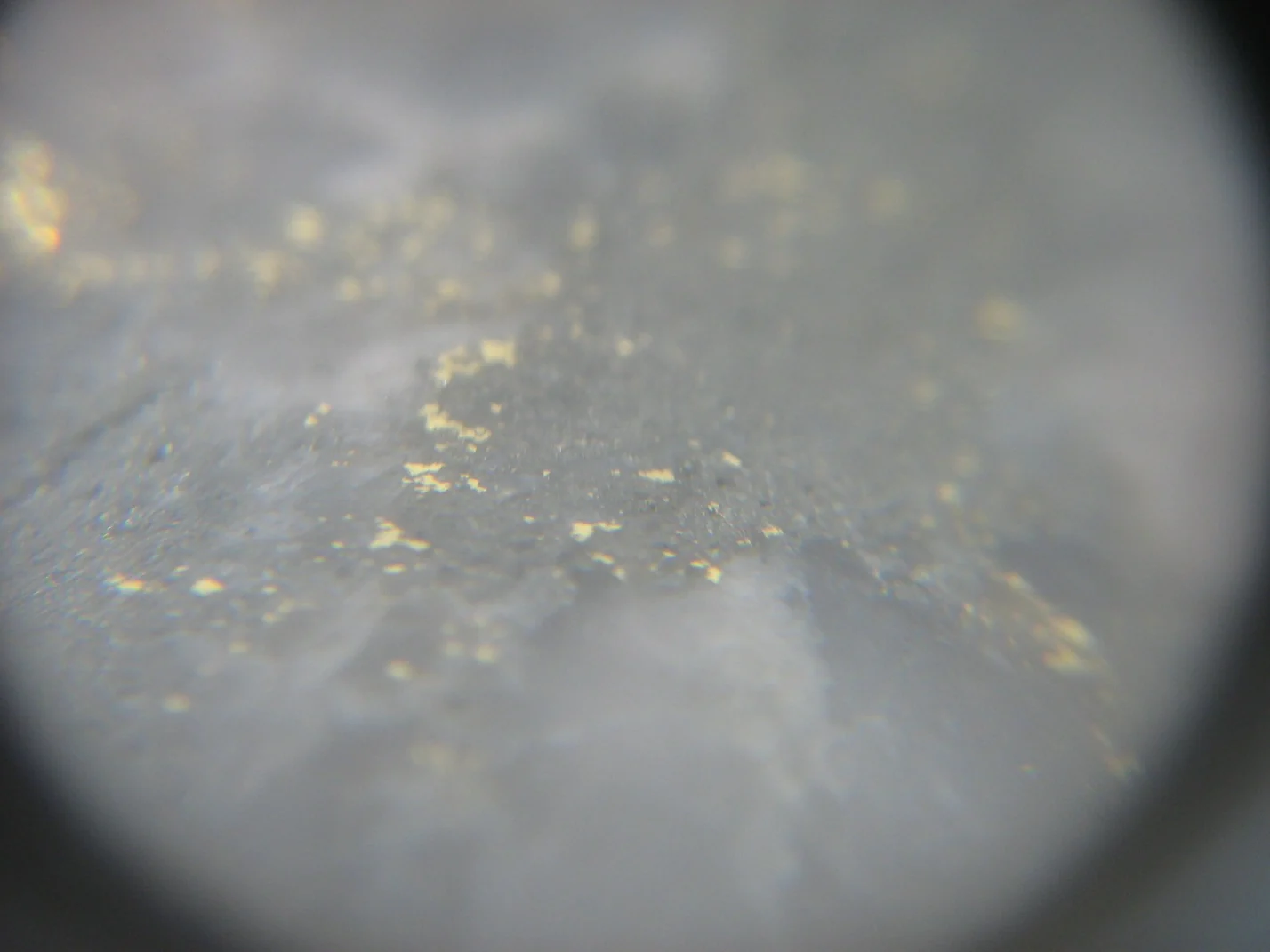 Magnified view of visible gold in blue-grey quartz veining in N-26-09 drill core.