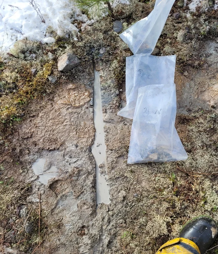Channel sample cut across rock at the Nicholson Main Zone extension, with sample bag.