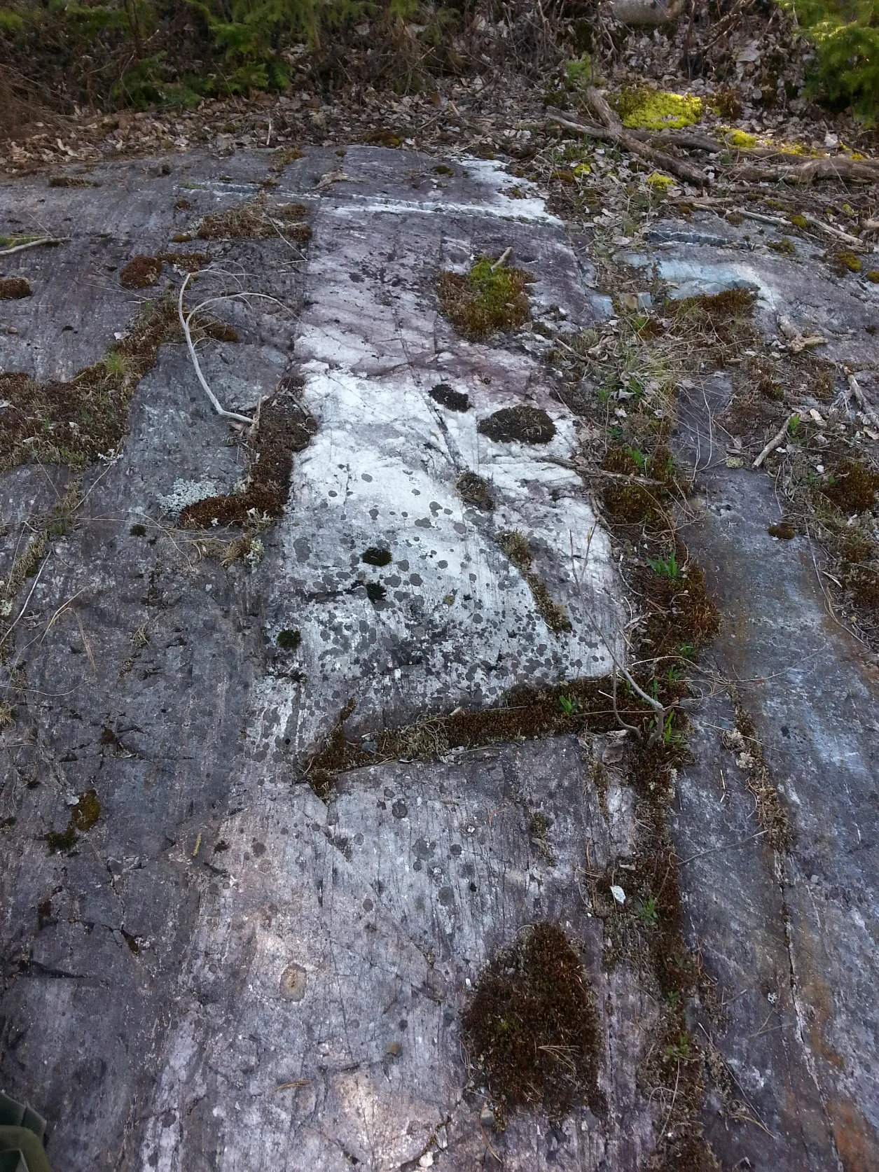 White felsic intrusive dike and quartz veining cutting crystal tuffs at the Main Zone.